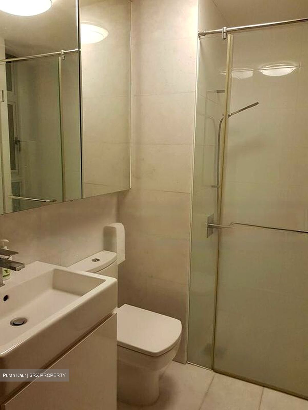 Woodsville 28 (D13), Apartment #479782261
